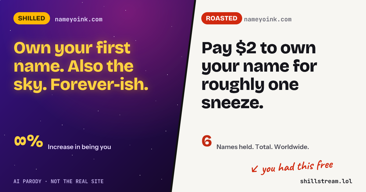 Before / after: nameyoink.com shilled and roasted