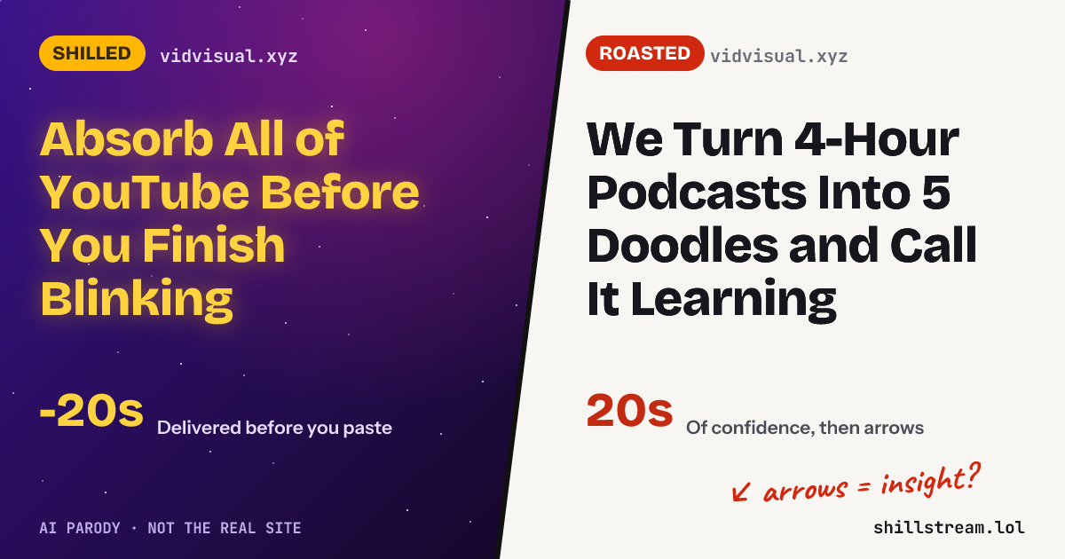 Before / after: vidvisual.xyz shilled and roasted