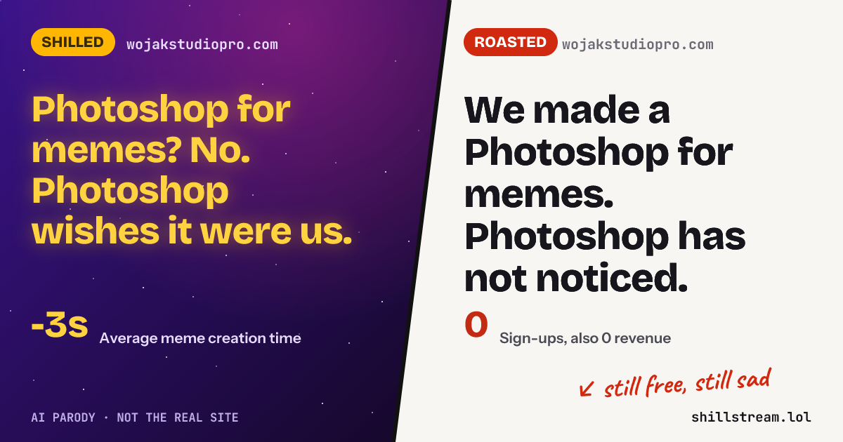 Before / after: wojakstudiopro.com shilled and roasted